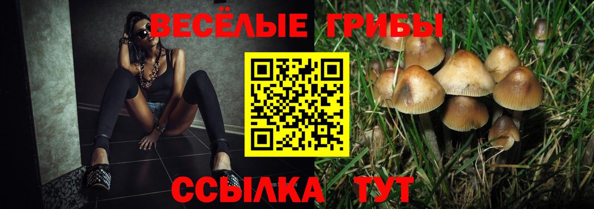 Северобайкальск  Галлюциногенные грибы MAGIC MUSHROOMS  Вход с VPN 
